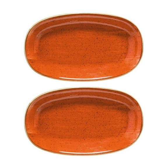 Terracota 9.5" x 5.5" x h:1.25" Oval Terracotta Porcelain Platter (Set of 2)