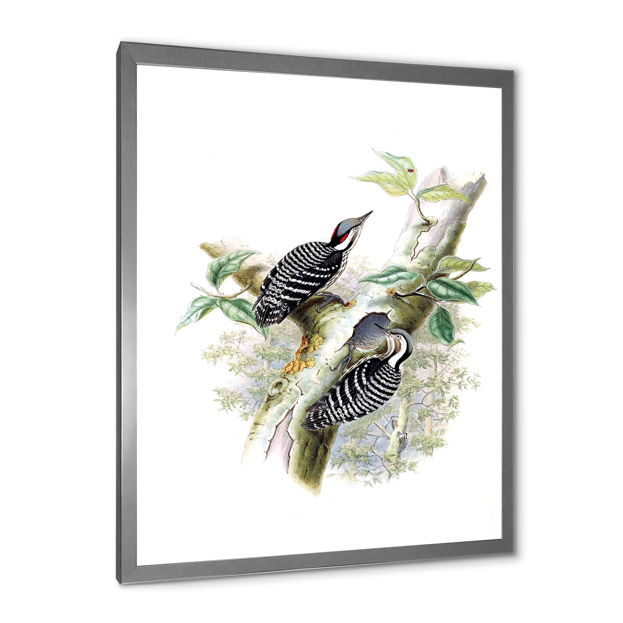 Designart 'Ancient Birds In The Wild V' Traditional Framed Art Print
