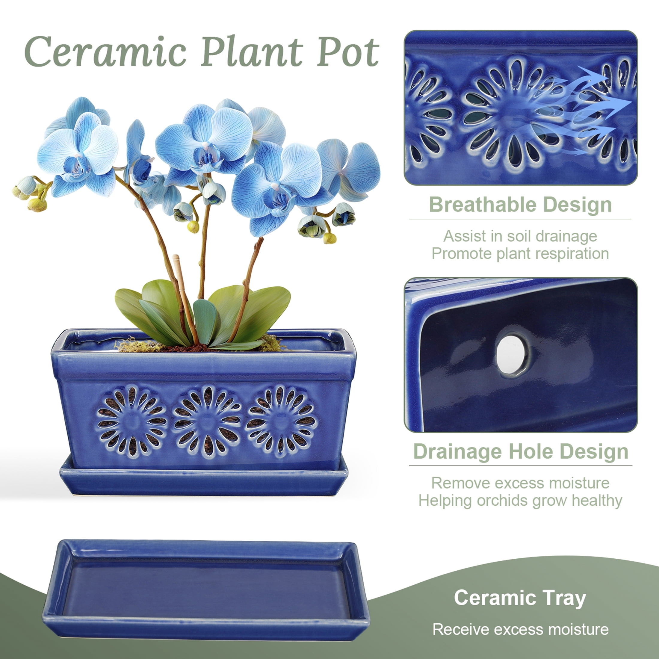Ceramic orchid pot, 10 inch orchid pots with holes, handmade glazed pot for orchidaceae plants, accommodate 2 orchids, blue