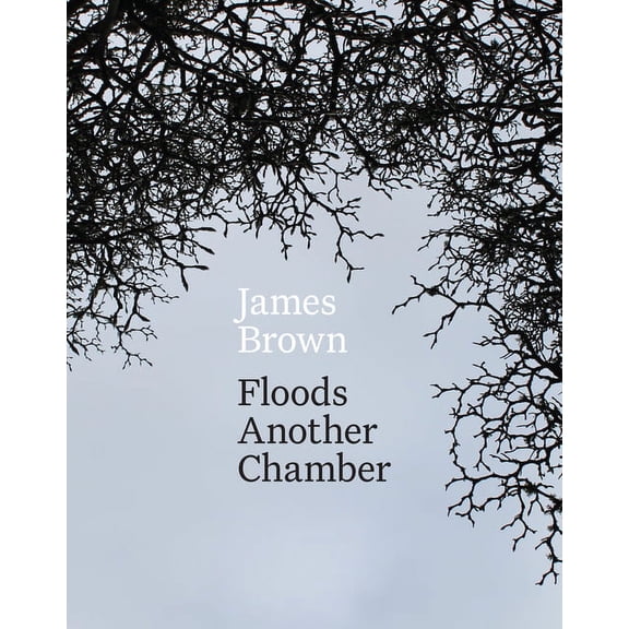 Floods Another Chamber (Paperback)