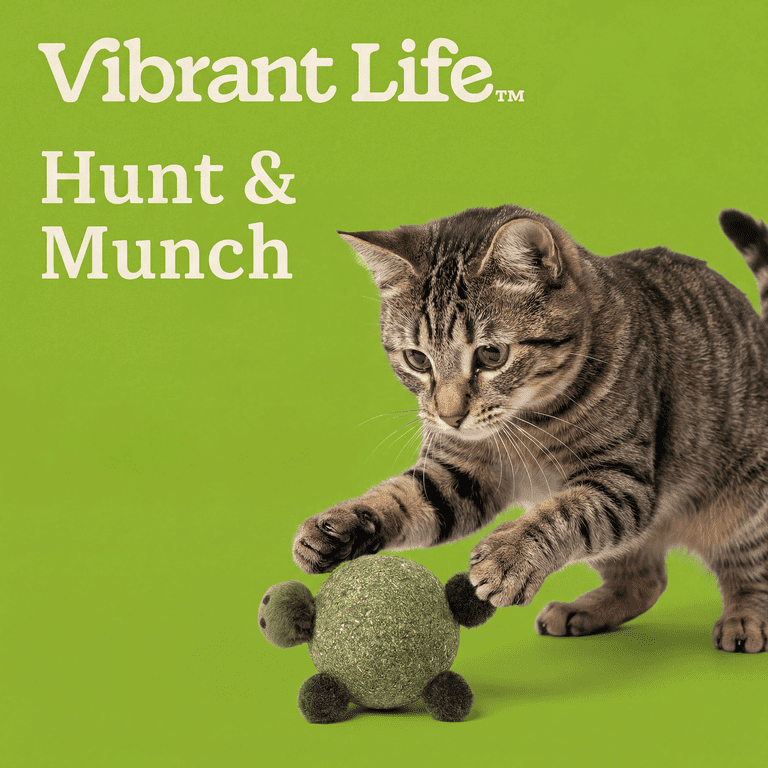 Vibrant Life Compressed Catnip Cat Toy, Turtle - Walmart.com