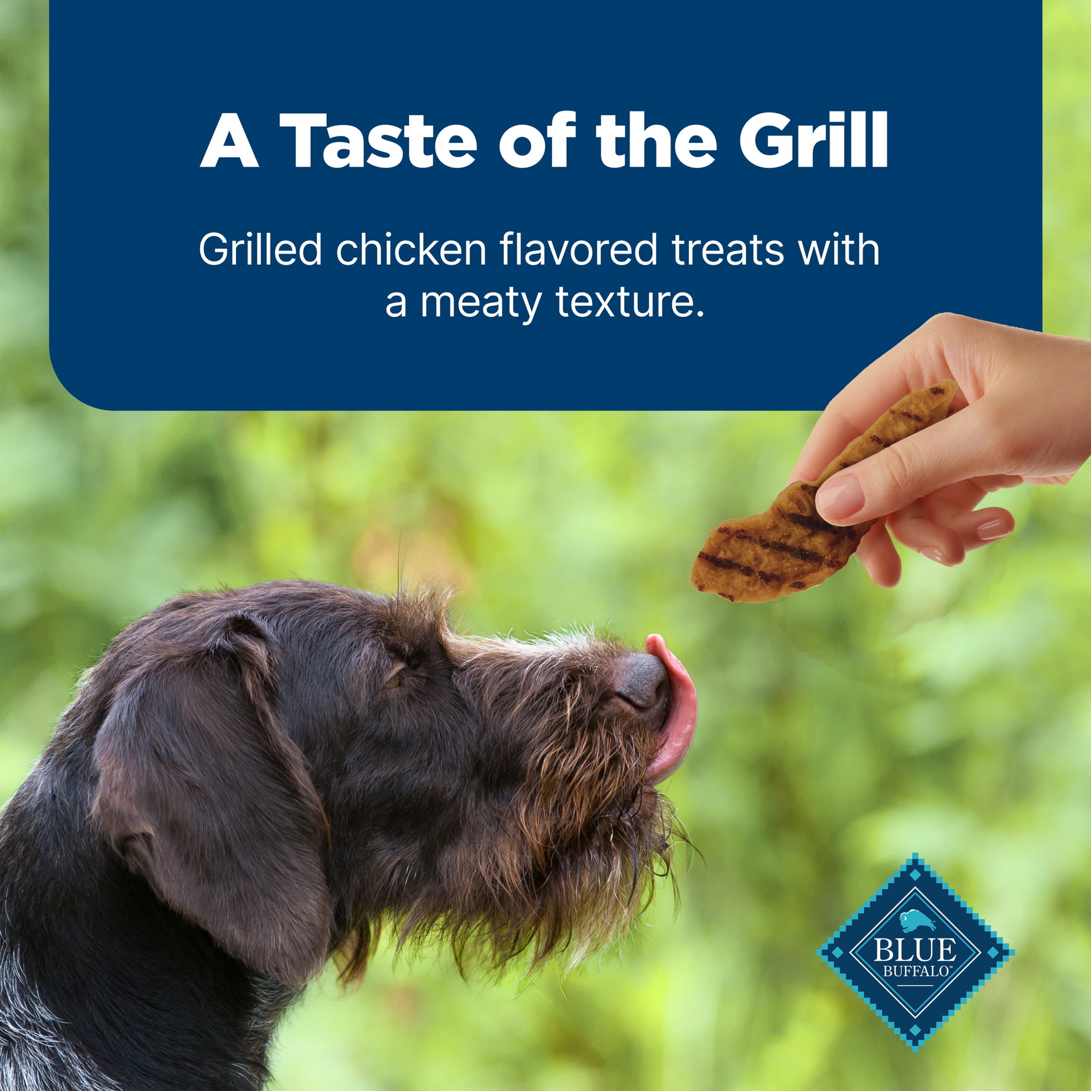 Blue Buffalo Nudges Grillers Natural Dog Treats Made with Real Chicken, 16-oz. Bag