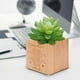 thumbnail image 4 of Maceta Bonsai, Jardinera Suculenta Maceta Suculenta De Madera Linda Maceta Los Mejores Materiales, 4 of 8