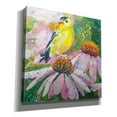 thumbnail image 2 of Epic Graffiti 'Finch on Coneflowers' by St. Hilaire Elizabeth, Canvas Wall Art, 26"x26", 2 of 8