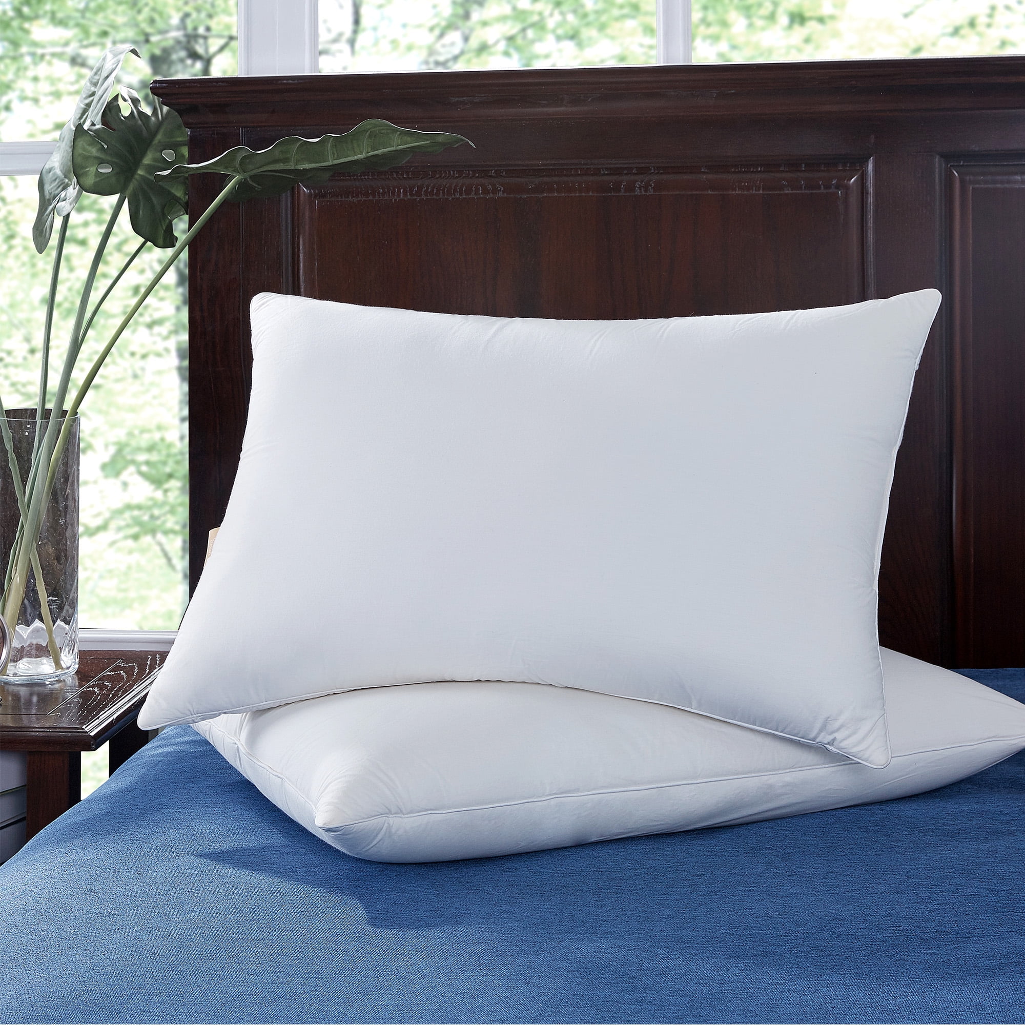 Puredown Natural Memory Foam Goose Feather Pillow