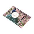 thumbnail image 2 of BSDHOME Peacock Kitchen Table Mat Placemats for Dining Table 12x18 inches, 2 of 4