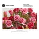 thumbnail image 4 of Ramo de rosas y peonías artificiales de seda - 15 flores artificiales para centros de mesa de boda, decoración de fiestas nupciales y arreglos florales para el hogar., 4 of 7