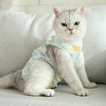 thumbnail image 5 of Xingjin Kitten Abdominal Recovery Clothes Suit Cat, E Collar Alternative Skin Anti Licking Pajama Sets for Cats and Dogs Post Surgery Comfort Style,Green,S, 5 of 7