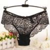 

BEEYASO Women Lace Panties Underwear Transparent Comfort Breathable Plus size S/XL (Buy 2 Get 1 Free)