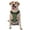 With Accessories, variant on Naloa Broccoli 3 Pet Harness Vest with Traction Rope, Adjustable No-Choke Dog Vest for Outdoor, Walking - Medium