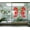 Red, variant on Decal ~ Chinese Dragon: Wall or Window Decal 13" x 28" each QTY 2 (Red)