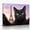 C, variant on XaaKee Canvas Wall Art Prints Black Cat Selfie Modern Art Prints Inner Framed 18*12Inch