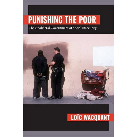Politics, History, and Culture: Punishing the Poor : The Neoliberal Government of Social Insecurity (Paperback)