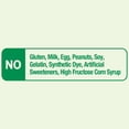 thumbnail image 5 of (3 pack) Spring Valley Vitamin B Complex Vegetarian Gummies, Strawberry Flavor, 70 Count, 5 of 12