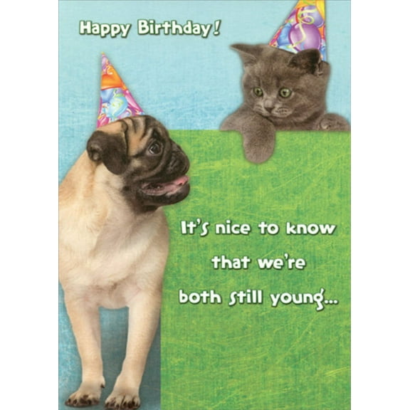 Designer Greetings Pug and Kitten : We're Both Still Young Funny : Humorous Dog and Cat Birthday Card
