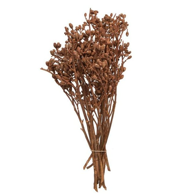 Vickerman H1EYP729 Grappes d'Eucalyptus de 12 x 1-3 Po&44; Orange - 16 Pièces