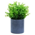 thumbnail image 2 of Kripyery Simulation Plant Pot Easy to Manage No Withering Green Ornament No Watering Fake Plant Pot for Home, 2 of 8