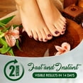 Czech Massage Full: Relieve Chronic Pain Naturally - jue6tq6