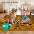 thumbnail image 4 of ODIKA 3'x5' Ultra-Soft Throw Mat, Orange Century Mid Retro Stylized Botanical Clusters Layout Vintage None Washable, Bare feet friendly, Easy Care Indoor rug for Bedside, Vanity, 4 of 7