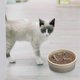 thumbnail image 3 of Silicone Slow Feeder Insert for Dog Bowls, Compatible with Stainless Steel, Ceramic, and Glass Pet Dishes, 3 of 5