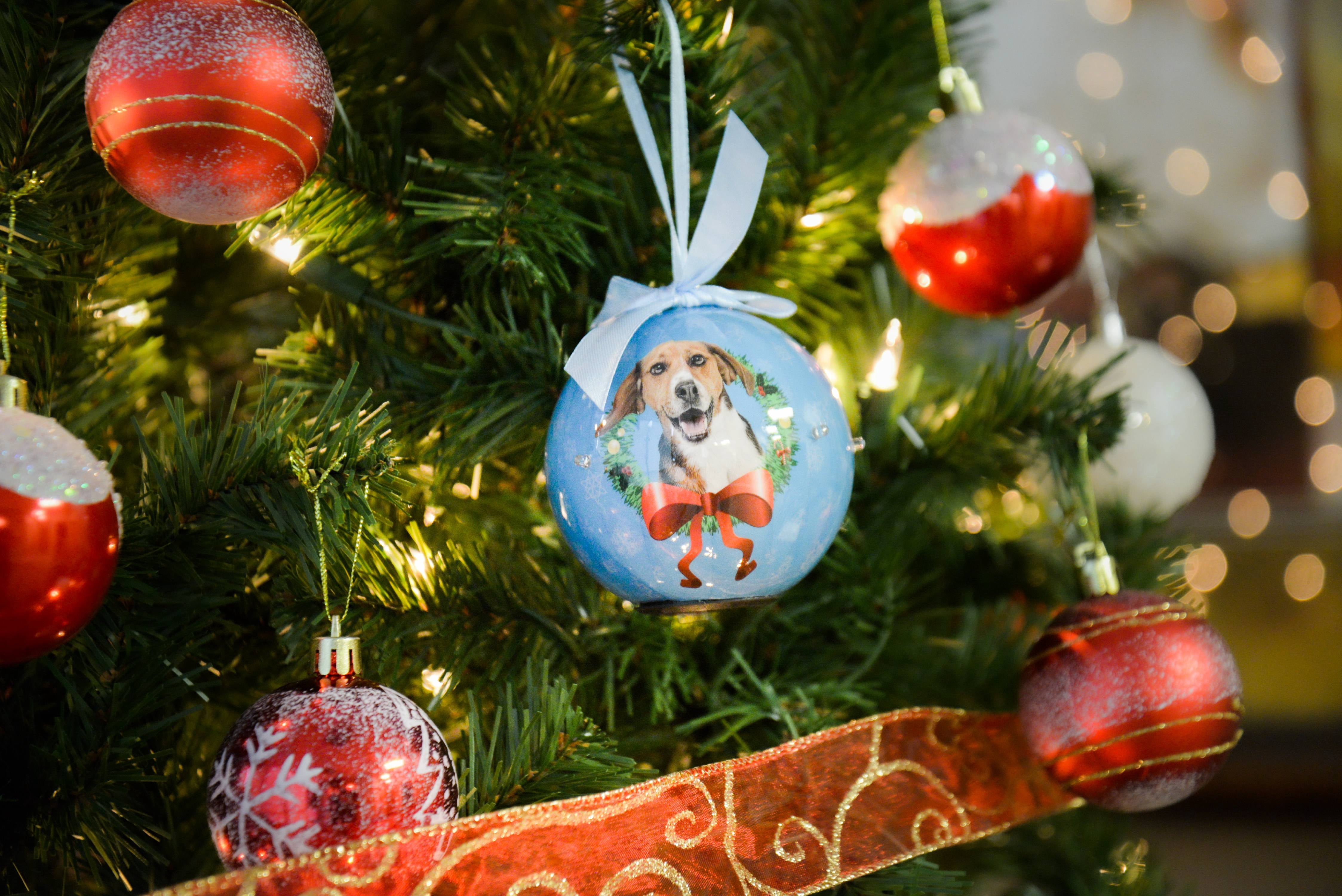 2019 Christmas Ball Ornaments Annual Edition with lights, Glittering Christmas Tree Pendants Decorative Hanging Christmas Dog Collection Balls for Holiday Party Indoor Outdoor Decoration