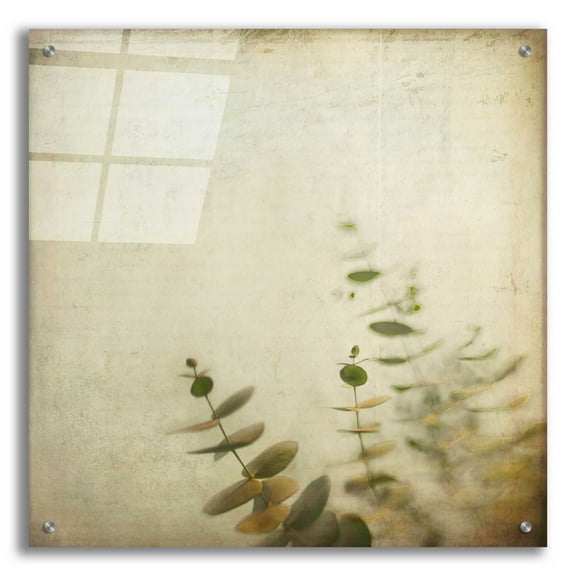 Epic Art 'Union' by Dawn D Hanna, Acrylic Glass Wall Art, 24"x24"