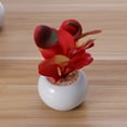 thumbnail image 1 of FENGGUIQU 4Ud Plantas Falsas Suculentas De Plástico Simulación Decorativa Para Habitación Y, 1 of 7