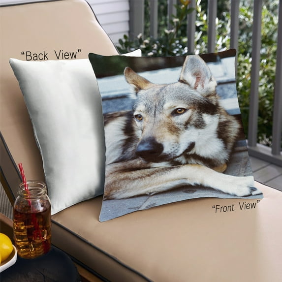 Ahgly Company Dogs Husky Outdoor Throw Pillow, 18 inch by 18 inch