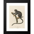thumbnail image 2 of Jean-Baptiste Audebert 17x24 Black Modern Framed Museum Art Print Titled - Le Tamarin (1797), 2 of 5