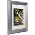 thumbnail image 2 of Trademark Fine Art "Let Me Be" Canvas Art by Philippe Sainte-Laudy, White Matte, Silver Frame, 2 of 4