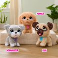 thumbnail image 7 of FurReal Poop-a-Lots Pug Interactive Walking Plush Puppy with Leash, Treats and Poop Scoop, Pooping Dog Toy, 8-Inch Pet, Ages 4 and up, 7 of 7