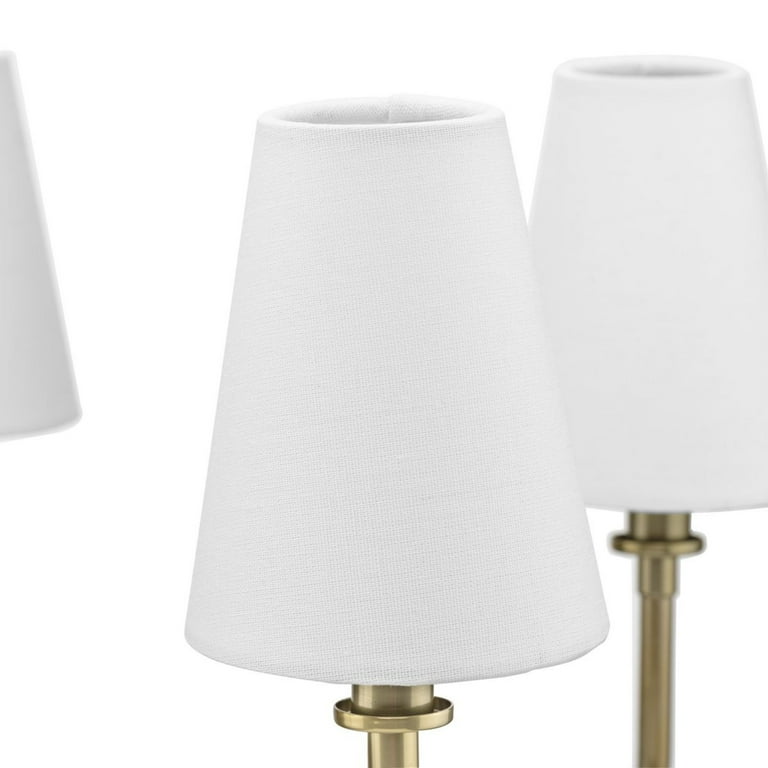 小物 BLANC..B0038/Champagne C.Havana/L.BRN 小物 BLANC..B0038