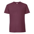 thumbnail image 1 of Fruit Of The Loom Mens Iconic Premium Ringspun Cotton T-Shirt, 1 of 3