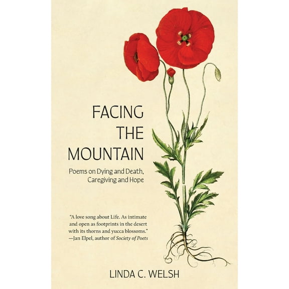 Facing the Mountain: Poems on Dying and Death, Caregiving and Hope (Paperback)