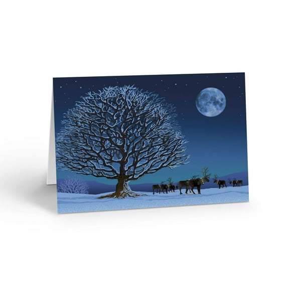 Reindeer Under Moonlight Christmas Card - 18 Boxed Holiday Cards & Envelopes - 2