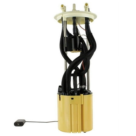 SENDERANDPUMPASY (P)