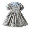 thumbnail image 6 of Esaierr Newborn Baby Printed Dresses for Girls,3M-4Y Little Girls Summer Short Sleeve Dresses Casual Cotton Summer Toddler Dress, 6 of 9
