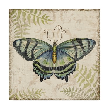 Trademark Fine Art 'Butterfly Daydreams 4' Canvas Art by Jean Plout