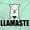 Mint Green, variant on Llamaste Namaste Spiritual Llama Womens Slim Fit Graphic Tee Brisco Brands L