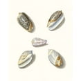 thumbnail image 2 of Knorr, G.W. 12x14 White Modern Wood Framed Museum Art Print Titled - Pastel Knorr Shells III, 2 of 4
