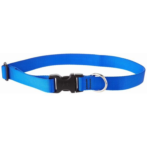 Collar para perros LupinePet Basics azul 16-28 pulgadas ajustable