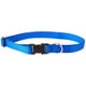 thumbnail image 1 of Collar para perros LupinePet Basics azul 16-28 pulgadas ajustable, 1 of 2