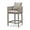 Champagne, variant on PURPLE LEAF Outdoor Counter Height Bar Stools Straight Leg Set of 2 Patio Bar Stools Modern Olefin Weaving Counter Stools with Backrest Pillow for Outdoor or Indoor Garden Balcony Lawn Grey