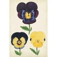 thumbnail image 3 of Unknown 11x14 Black Modern Framed Museum Art Print Titled - Antique Pansies I, 3 of 5
