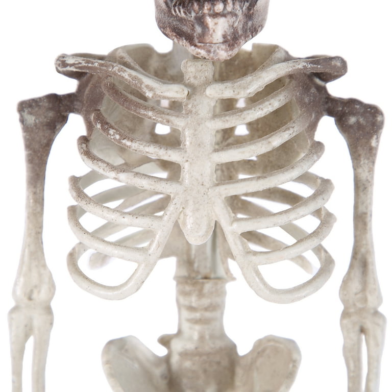 Halloween Luminous Skeleton Decorations Full Body Glow-in