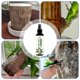 thumbnail image 3 of Solución nutritiva, fertilizantes líquidos de madera de Brasil para cultivo hidropónico, solución nutritiva especial de madera de Brasil de fácil absorción, 1 unidad, 3 of 4