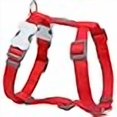 thumbnail image 3 of Red Dingo Classic Harness Medium, Hot Pink, 3 of 4