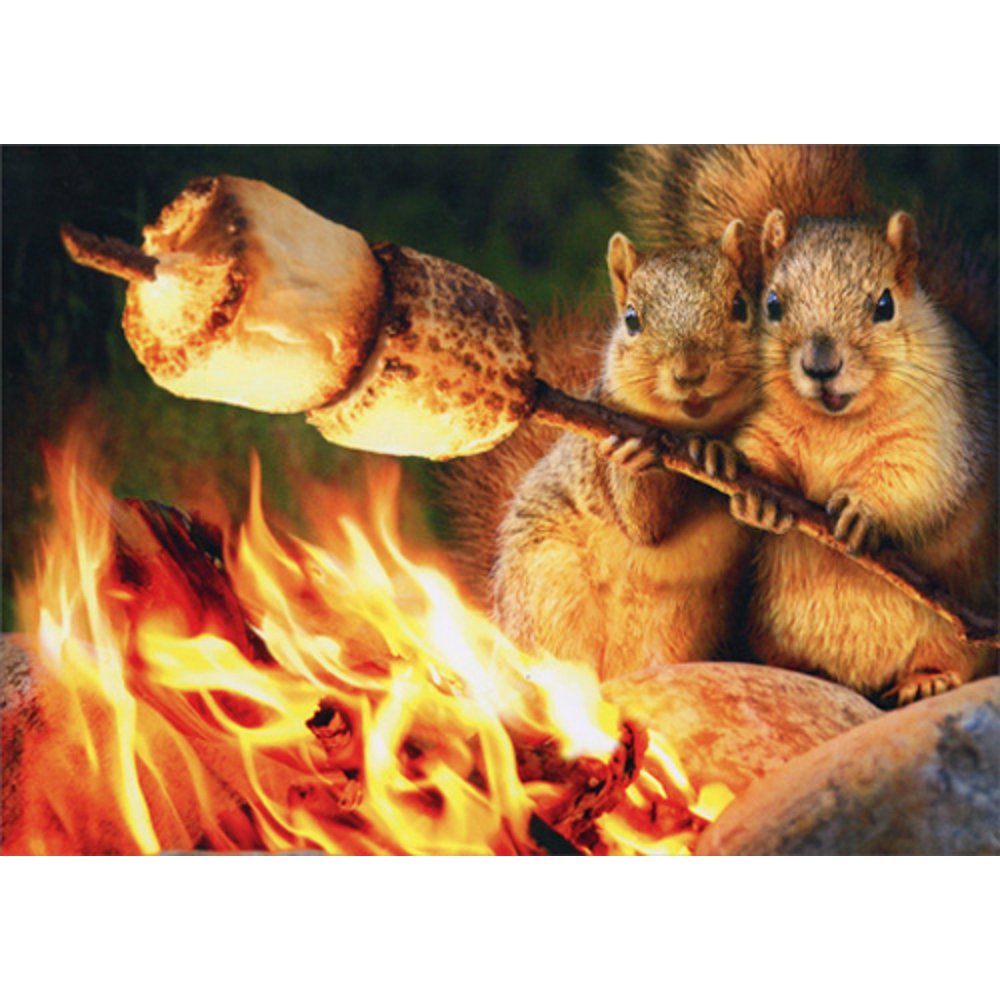 Avanti Press Squirrels Toasting Marshmallow Funny Anniversary Card