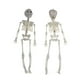 thumbnail image 1 of Decoraciones de Halloween, adornos de Halloween, regalos de Halloween, esqueleto de simulación de Halloween, esqueleto, festival de fantasmas, accesorios de terror, bola de maquillaje, juguetes aterra, 1 of 2