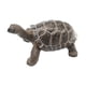 thumbnail image 3 of Figura de tortuga, modelo de tortuga, juguete, adorno de escritorio, decoración de jardín, tortugas negro, 3 of 9